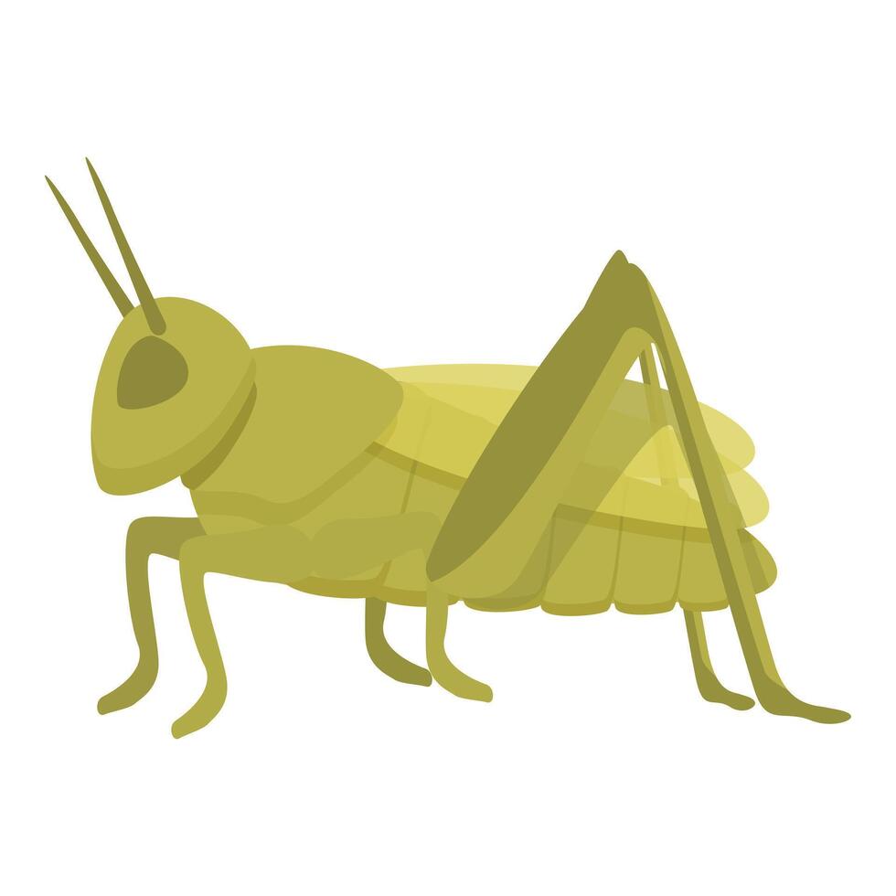 mouche sauterelle icône dessin animé vecteur. mascotte art insecte vecteur