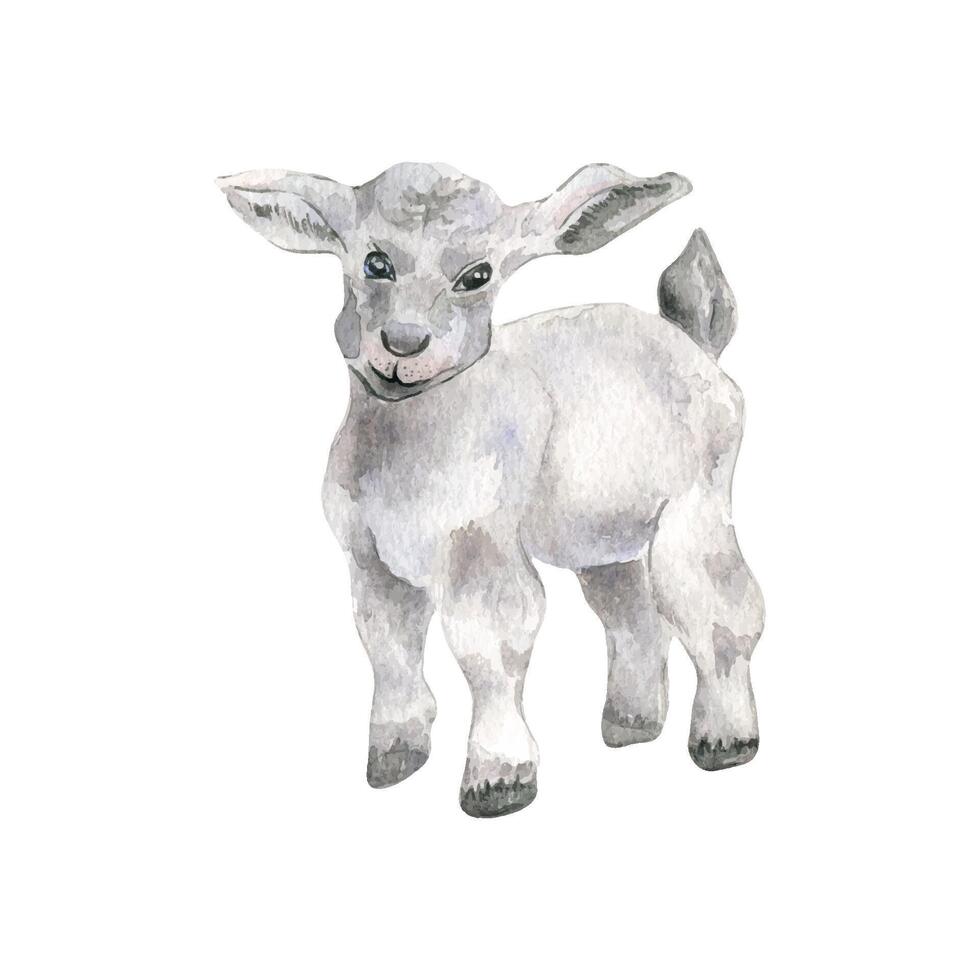 agneau aquarelle illustration isolé sur blanche. main tiré bébé mouton. ferme nouveau née animal. peint bébé chèvre. national animal de compagnie. élément pour Pâques salutation cartes, impression et autre conception projets. vecteur