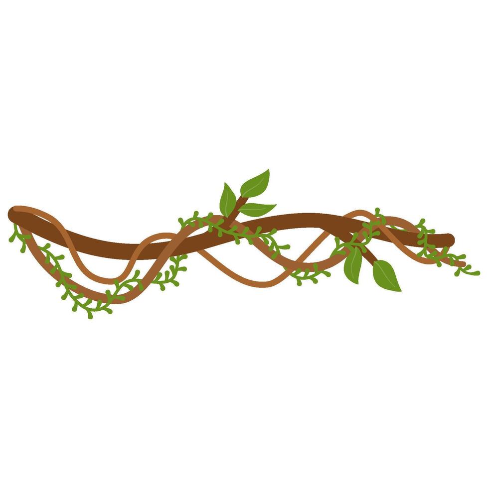 lianes branche avec vignes vecteur