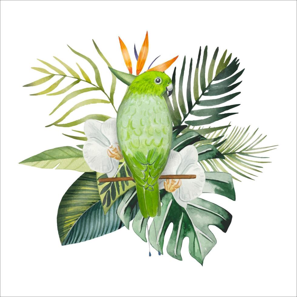 main tiré perroquet avec tropical feuilles, fleurs aquarelle vecteur