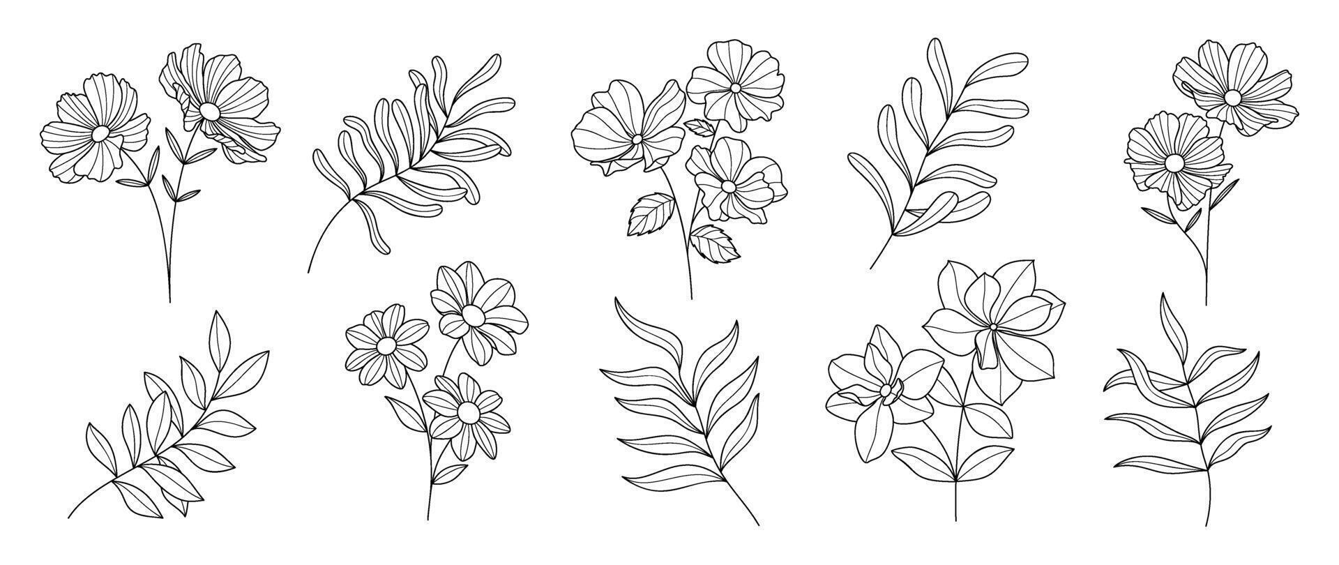 ensemble botanique main tiré élément vecteur. collection de feuillage, bifurquer, floral, feuilles, fleurs sauvages dans ligne art. minimal style fleur illustration conception pour logo, mariage, invitation, décor. vecteur