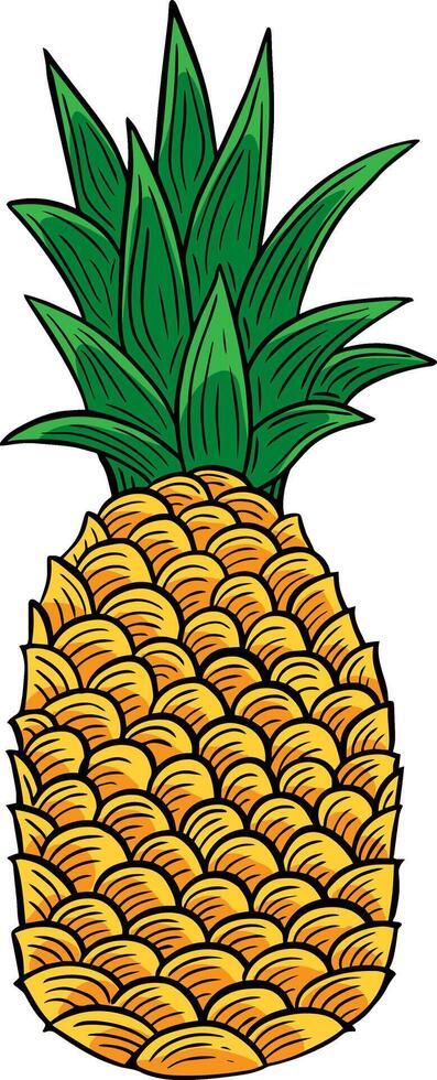 ananas fruit main tiré gravé esquisser dessin vecteur