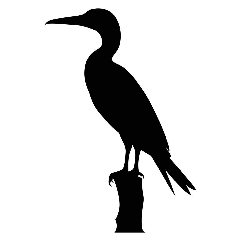cormoran noir silhouette vecteur. vecteur