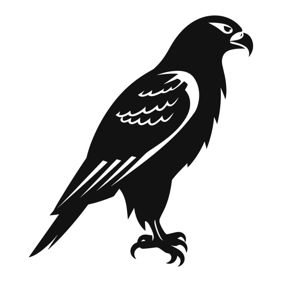 faucon noir silhouette vecteur, blanc Contexte. vecteur