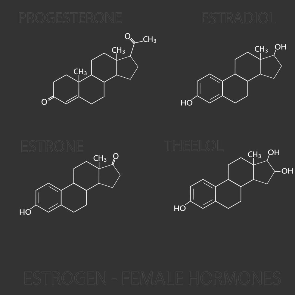 oestrogène femelle les hormones moléculaire squelettique chimique formule vecteur