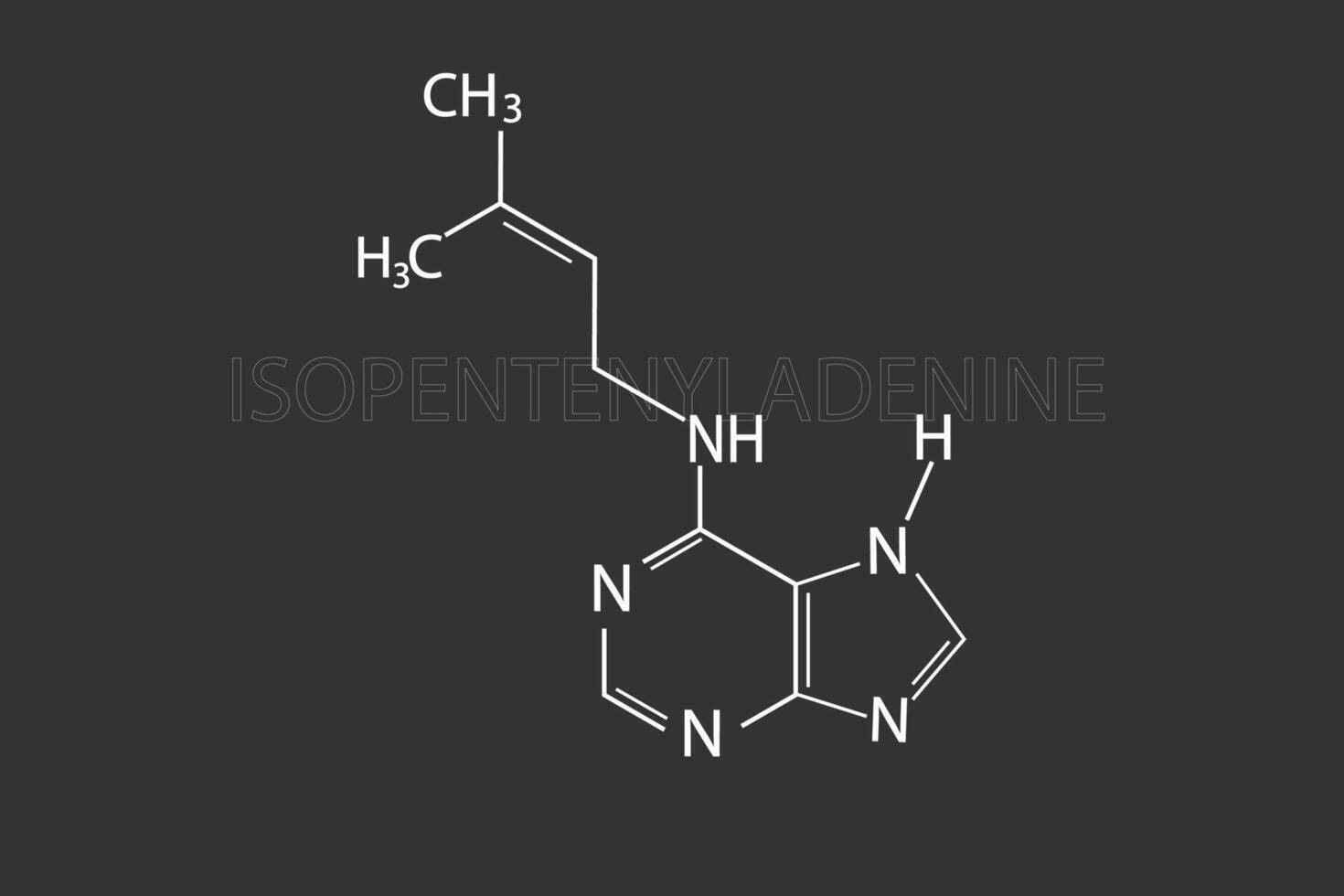 isopentel adénine moléculaire squelettique chimique formule vecteur
