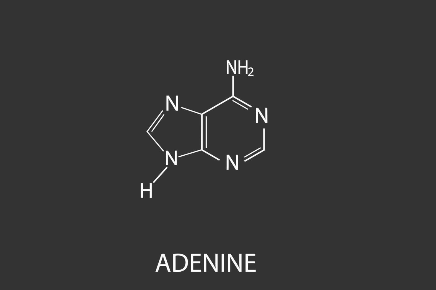 adénine moléculaire squelettique chimique formule vecteur