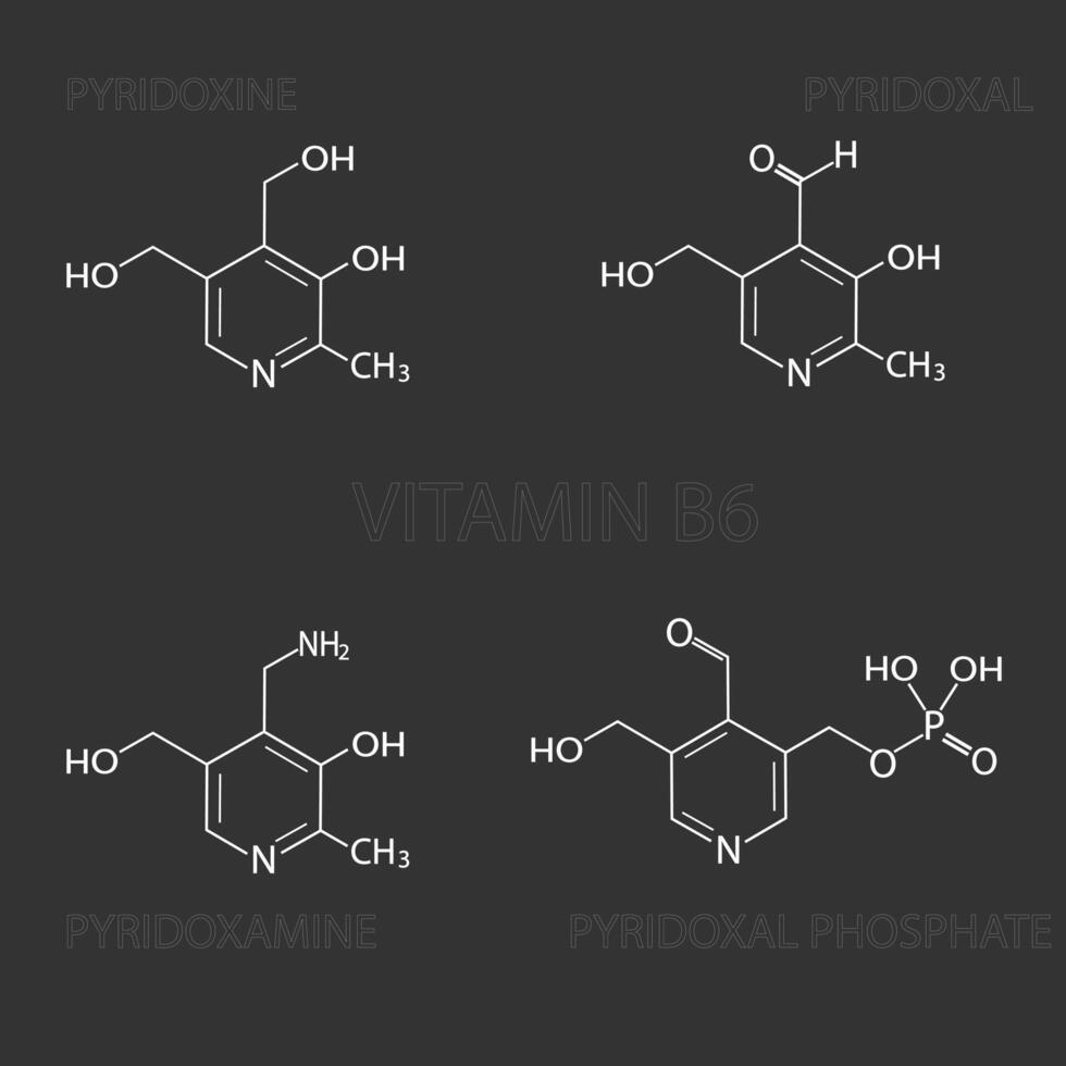 vitamine b6 moléculaire squelettique chimique formule vecteur