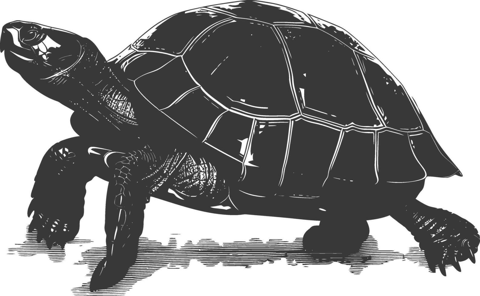 ai généré silhouette tortue animal noir Couleur seulement plein corps vecteur