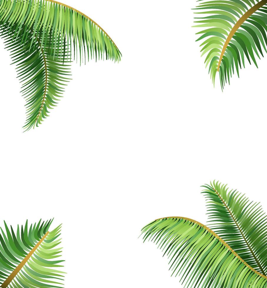 vert feuilles de tropical paume arbre vecteur illustration isolé sur blanc Contexte