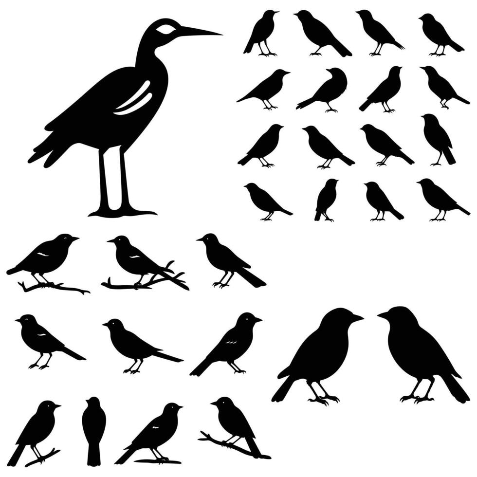 oiseau silhouette ensemble vecteur illustration