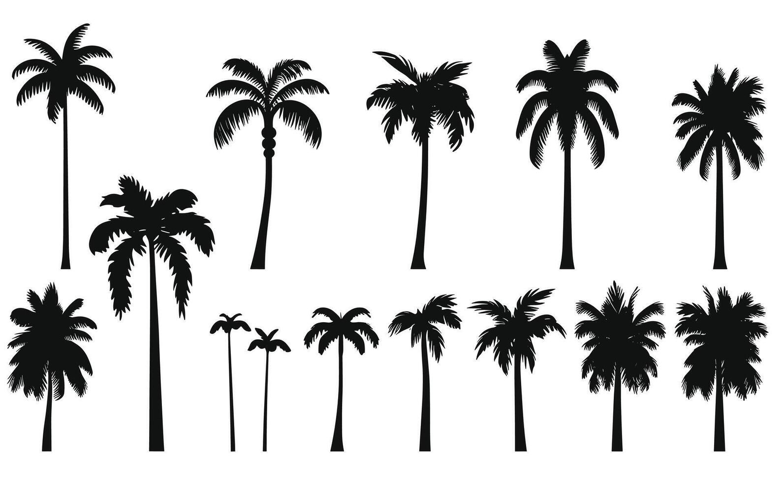 paume arbre illustration noix de coco vecteur plage plante été conception silhouette