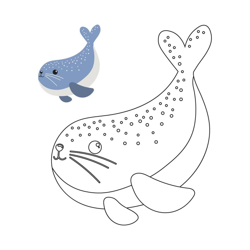 coloration livre pour enfants, mignonne bébé baleine. illustration et esquisser, vecteur