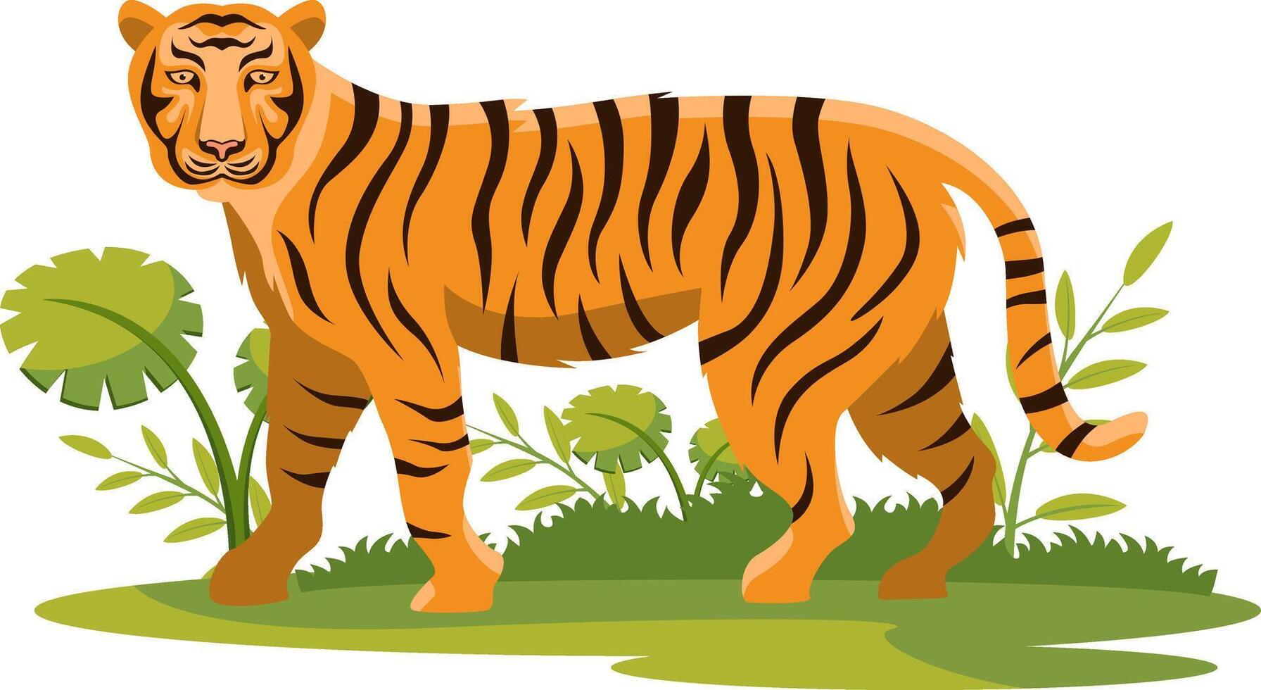 Bengale tigre permanent isolé vecteur