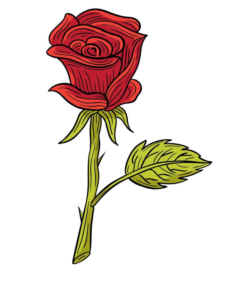 Rose main tiré gravé esquisser dessin vecteur