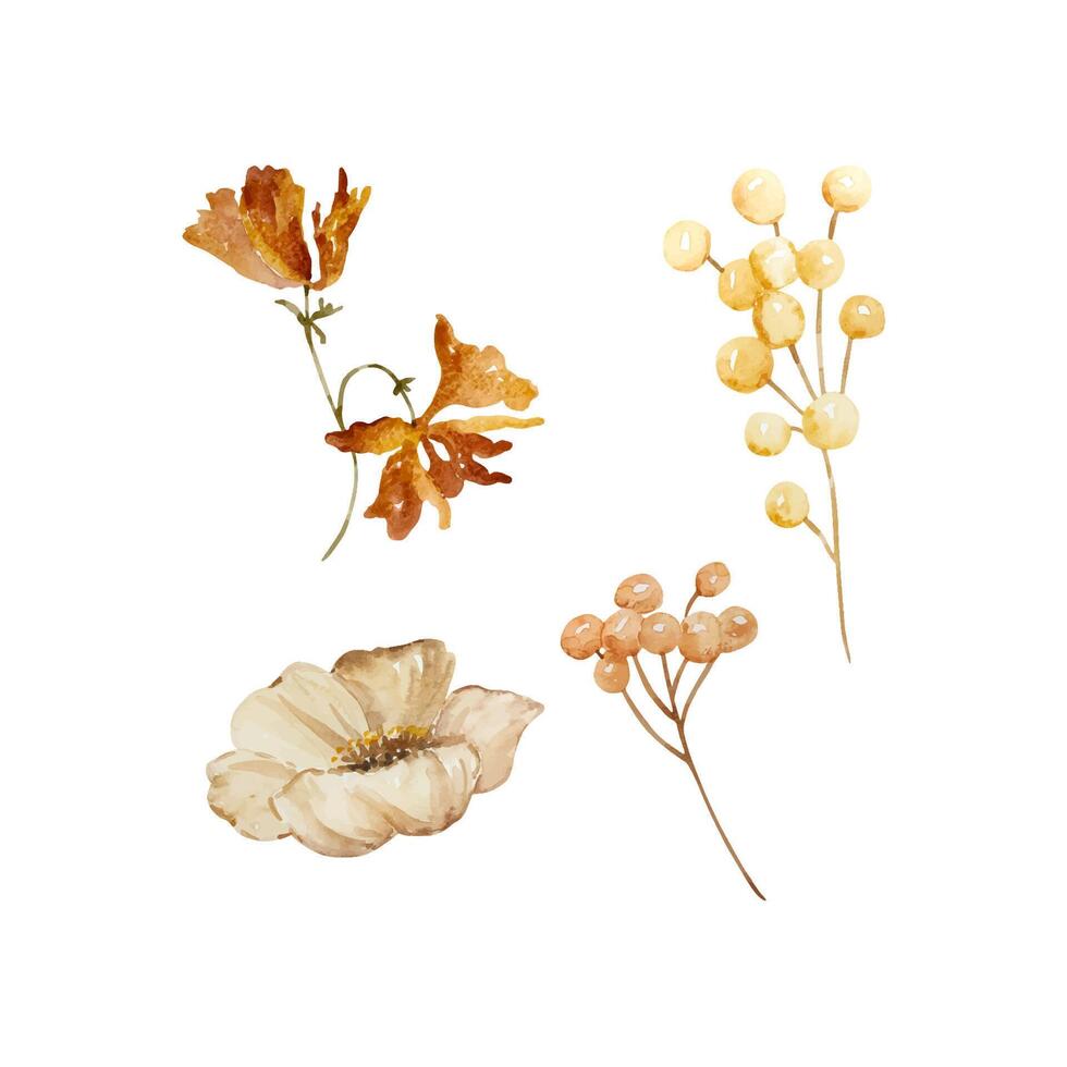 aquarelle ensemble baies et fleurs, l'automne illustration pour conception et impression vecteur
