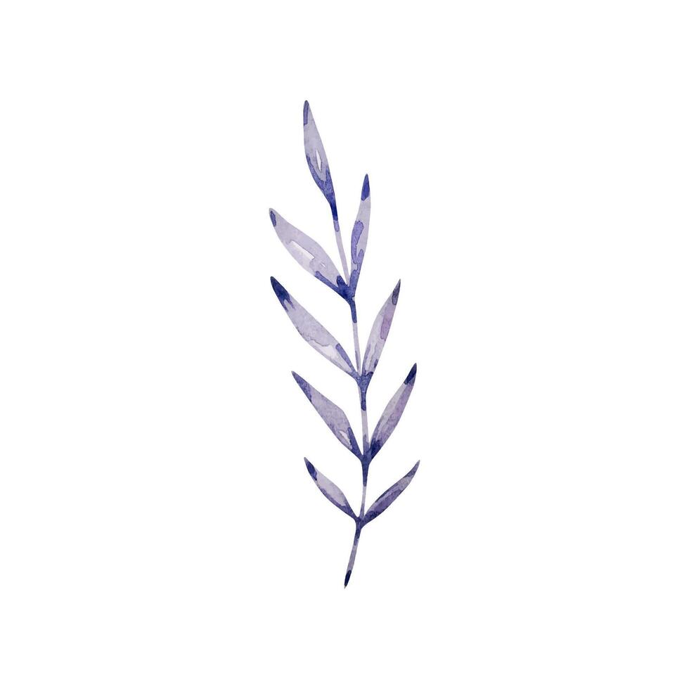 foncé violet aquarelle élégant branche avec feuilles vecteur