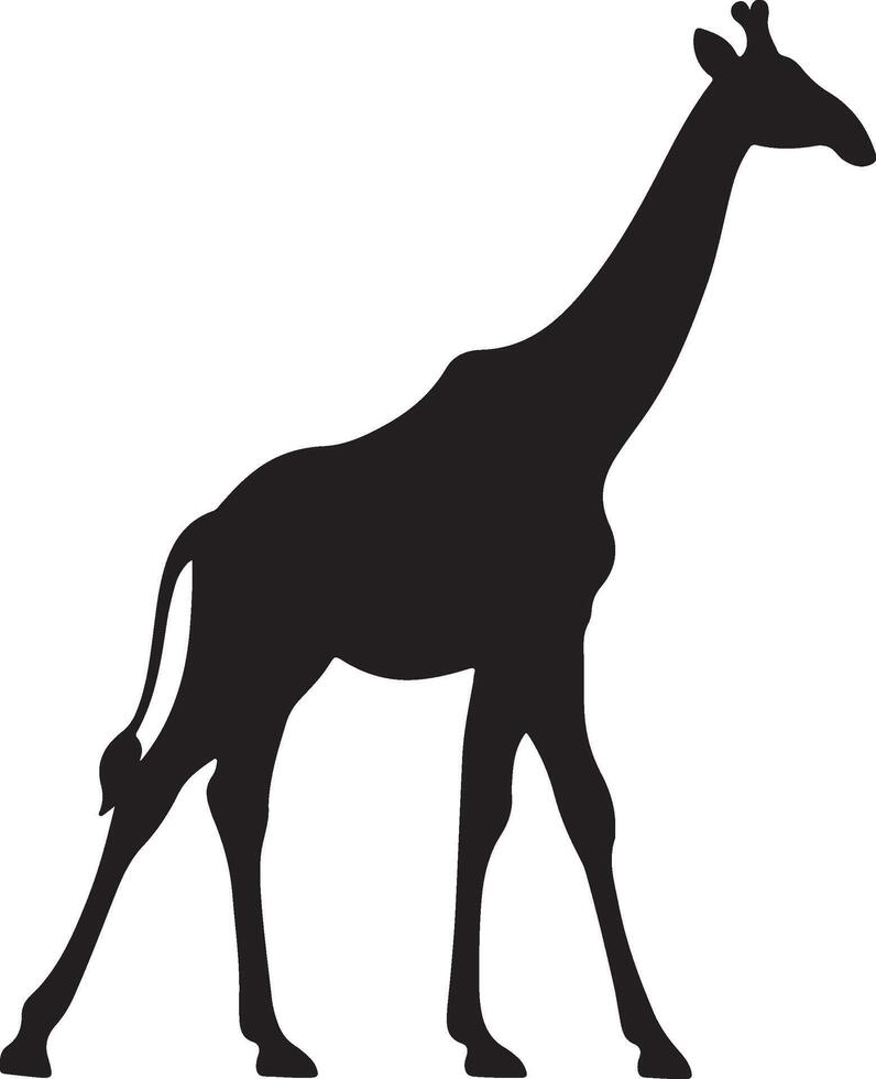 girafe silhouette vecteur illustration blanc Contexte