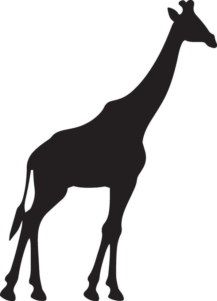 girafe silhouette vecteur illustration blanc Contexte