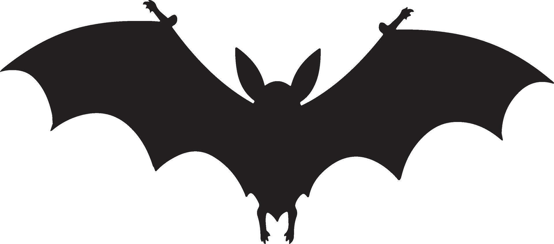 chauve souris silhouette vecteur illustration blanc Contexte