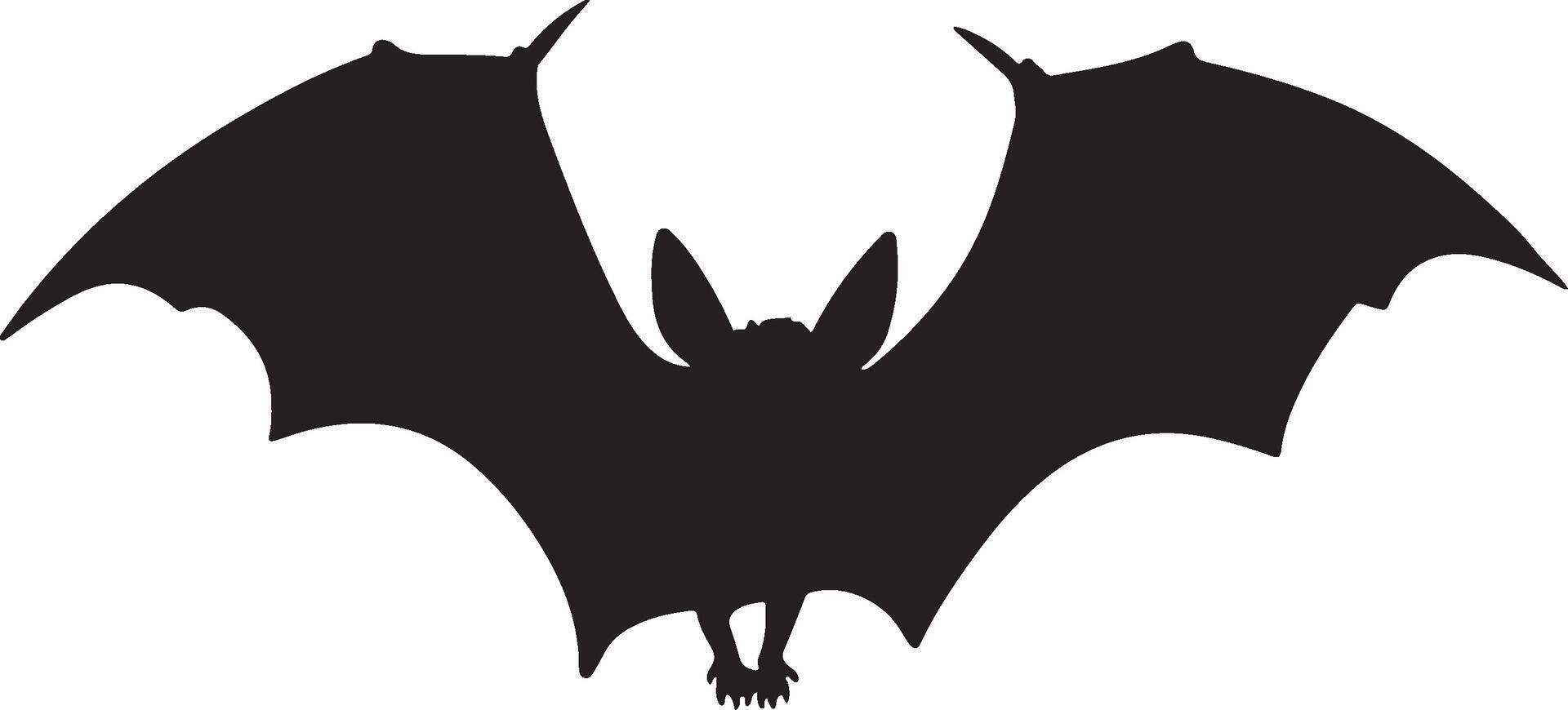 chauve souris silhouette vecteur illustration blanc Contexte