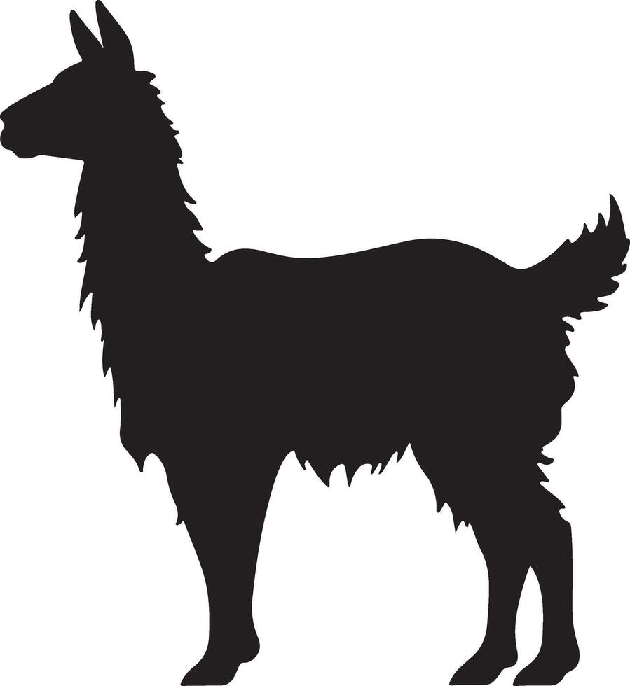 lama silhouette vecteur illustration blanc Contexte