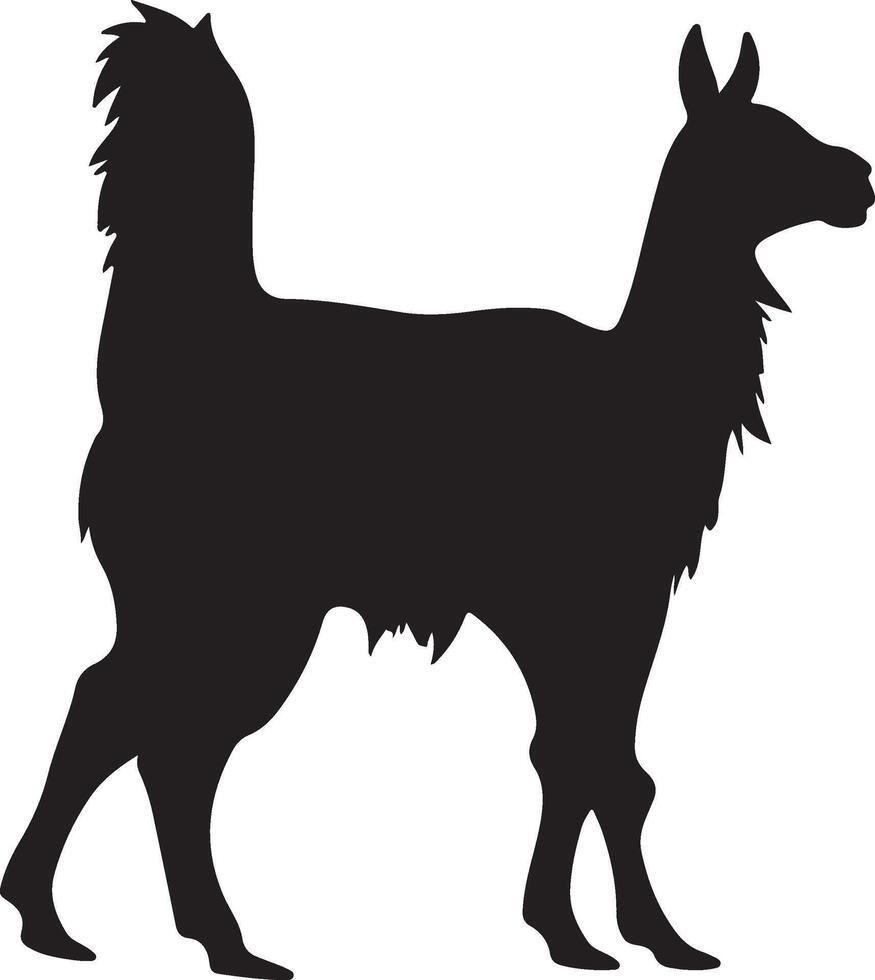 lama silhouette vecteur illustration blanc Contexte