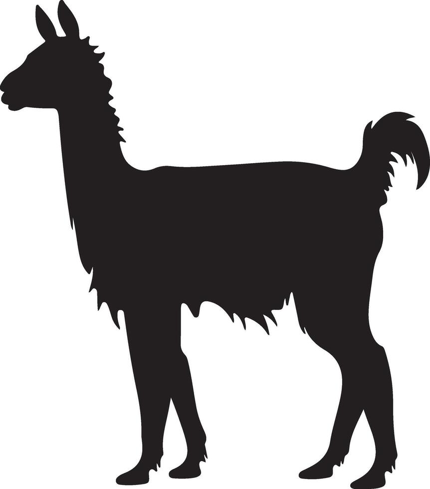 lama silhouette vecteur illustration blanc Contexte