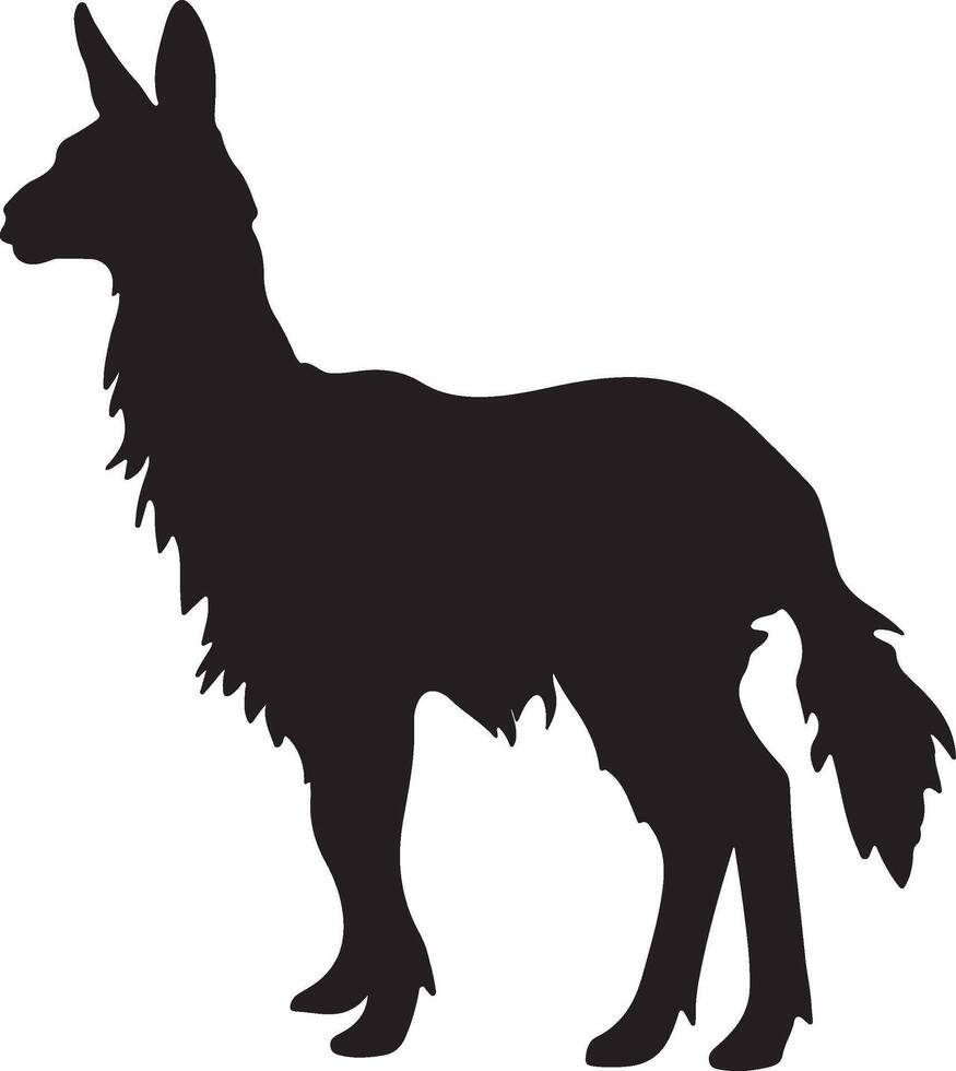 lama silhouette vecteur illustration blanc Contexte