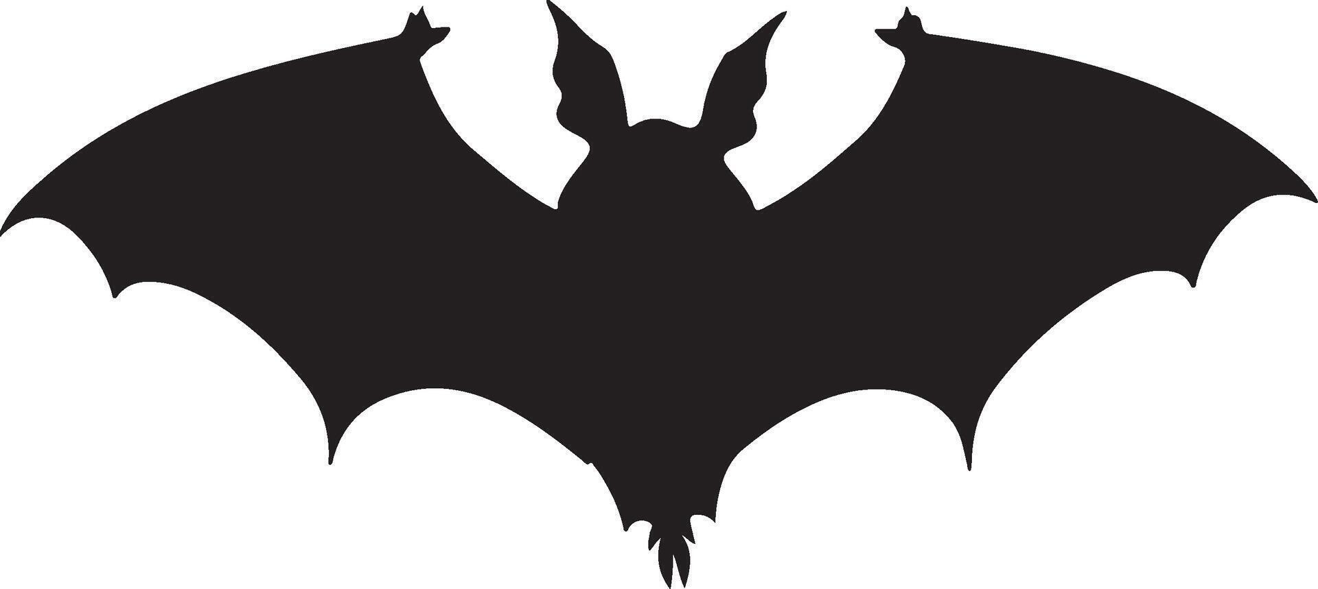 chauve souris silhouette vecteur illustration blanc Contexte