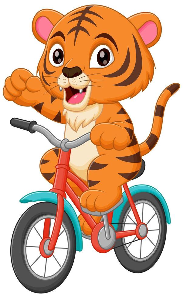 mignonne tigre équitation vélo dessin animé vecteur icône illustration. animal sport icône concept isolé prime vecteur