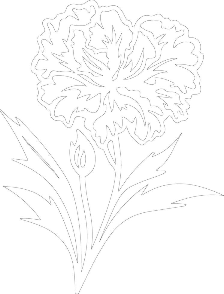 ai généré dianthus contour silhouette vecteur