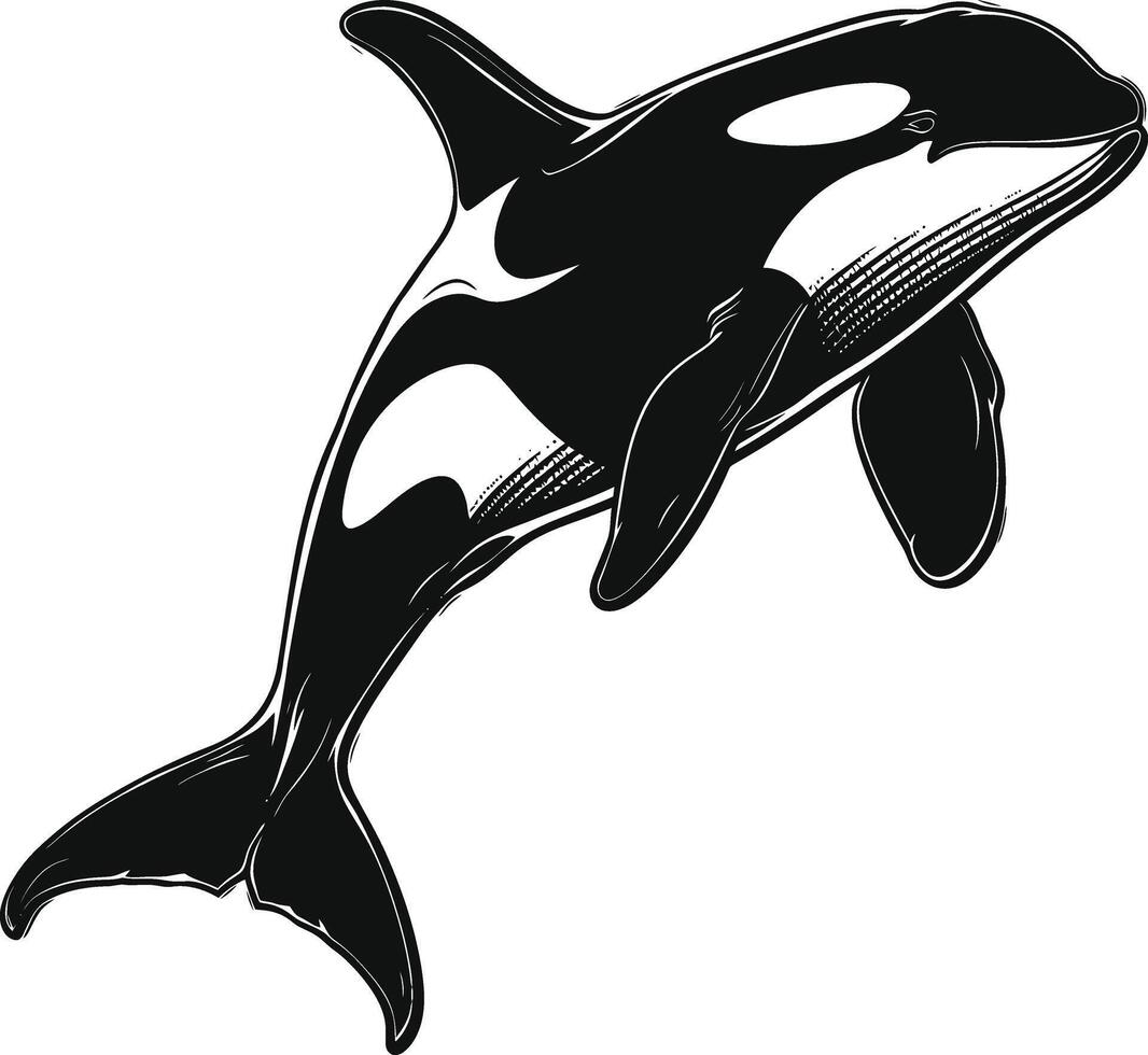 ai généré silhouette le orque ou tueur baleine noir Couleur seulement vecteur