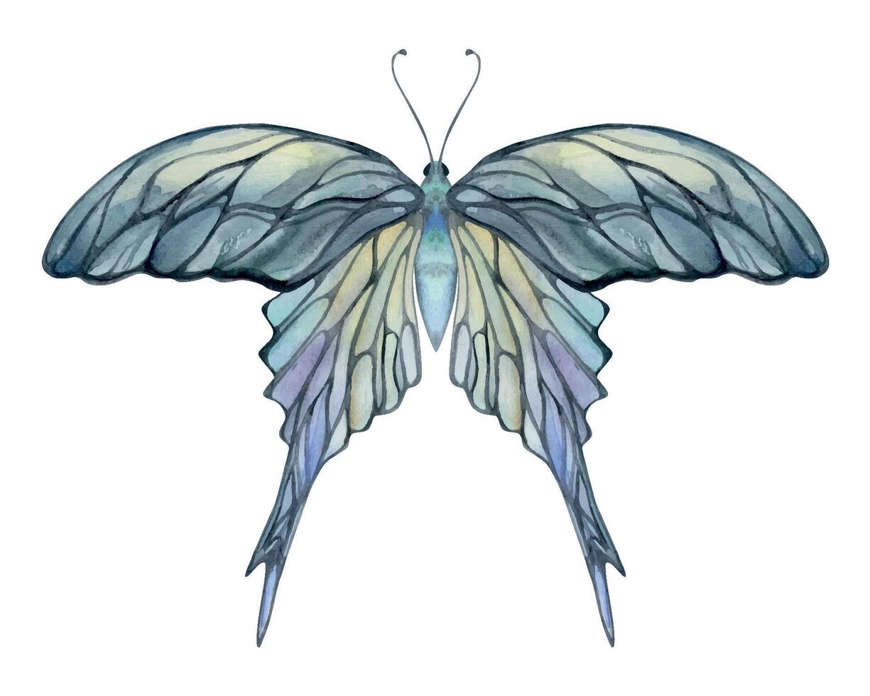 main tiré aquarelle illustration papillon Fée ailes gemme cristal insecte papillon. opale pierre de lune perle labradorite. ensemble de objets isolé sur blanc Contexte. conception imprimer, boutique, mariage, anniversaire vecteur