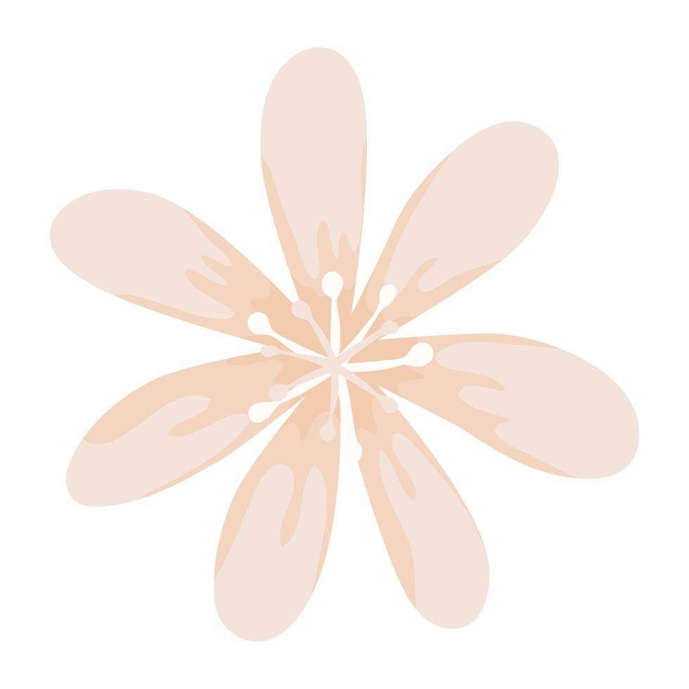 conception de fleur de vanille vecteur
