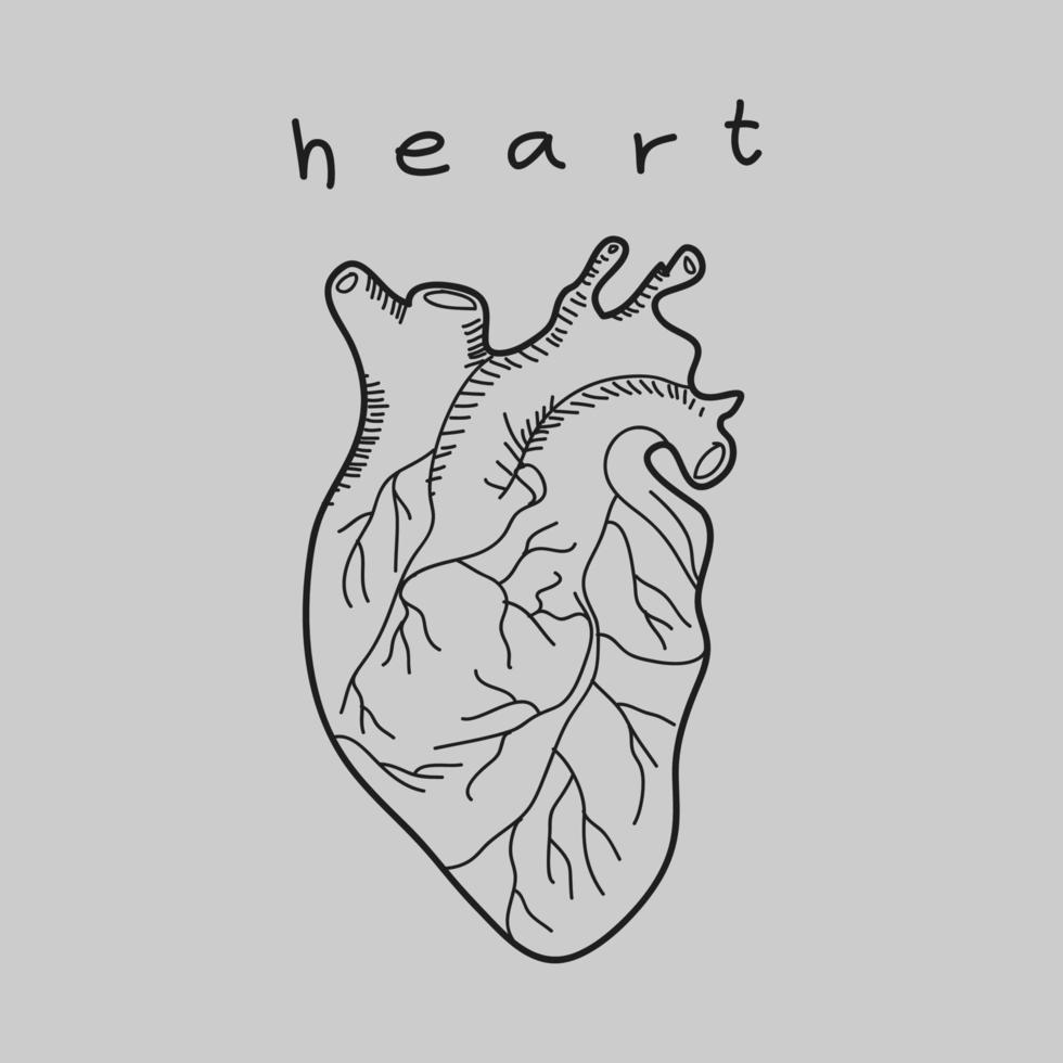coeur doodle dessinés à la main. vecteur