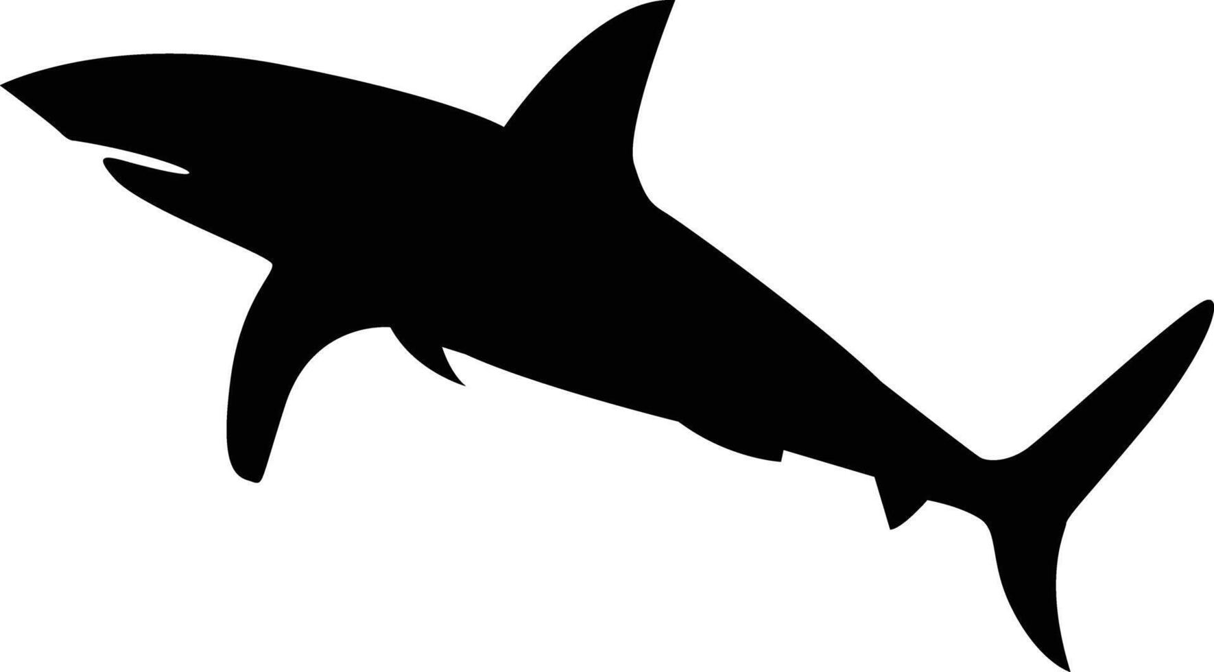 requin silhouette vecteur