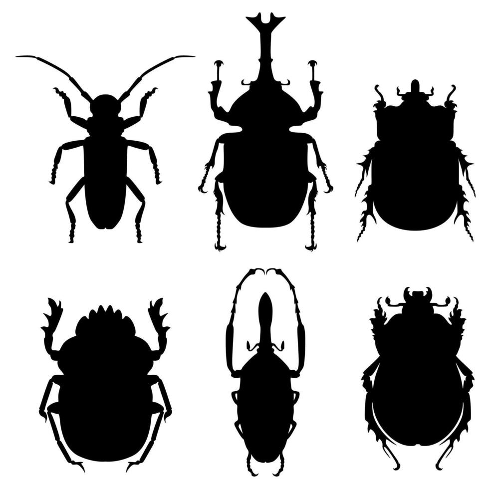 ensemble collections coléoptères noir silhouette insectes icône vecteur illustration