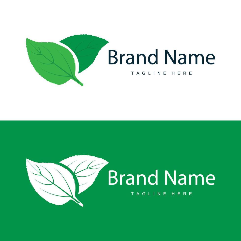 vert feuille logo vecteur Naturel plante la nature conception icône feuille modèle illustration