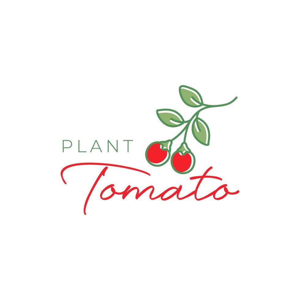 tomate rouge plante feuilles ligne style coloré moderne Facile minimaliste logo conception vecteur illustration