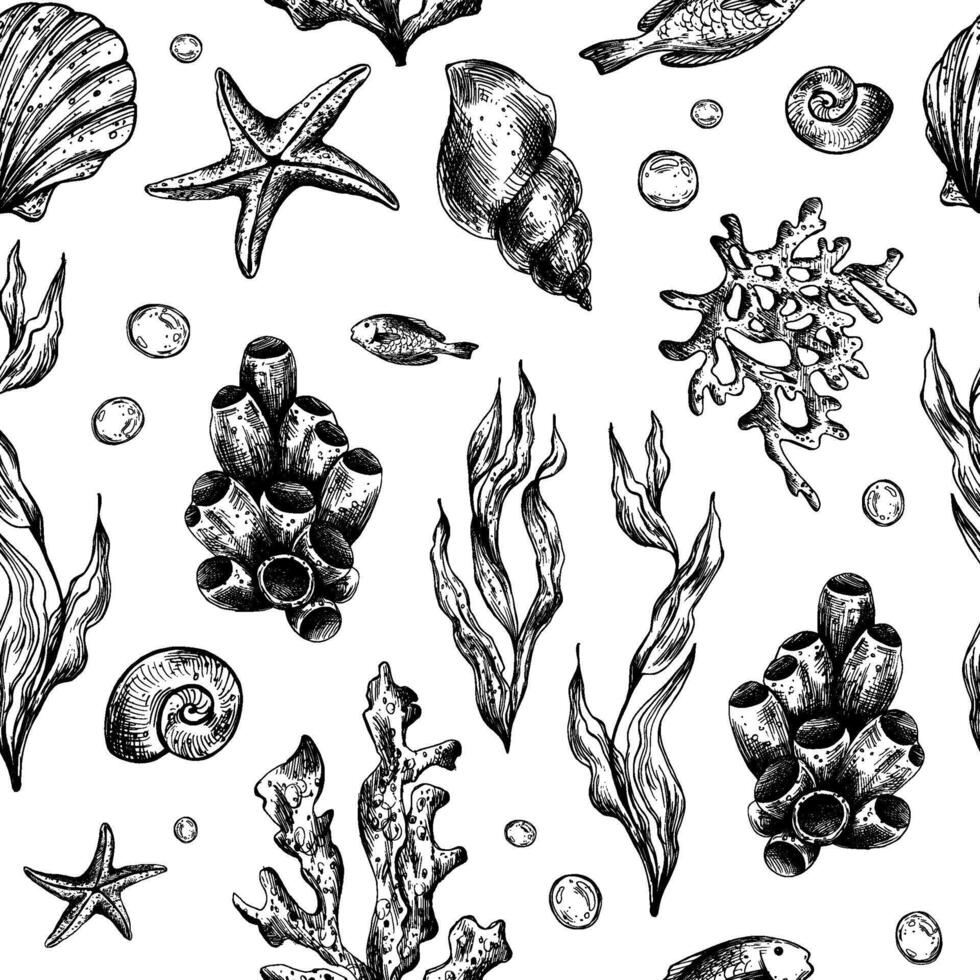 sous-marin monde clipart avec mer animaux baleine, tortue, pieuvre, hippocampe, étoile de mer, coquilles, corail et algues. graphique illustration main tiré dans noir encrer. sans couture modèle eps vecteur. vecteur