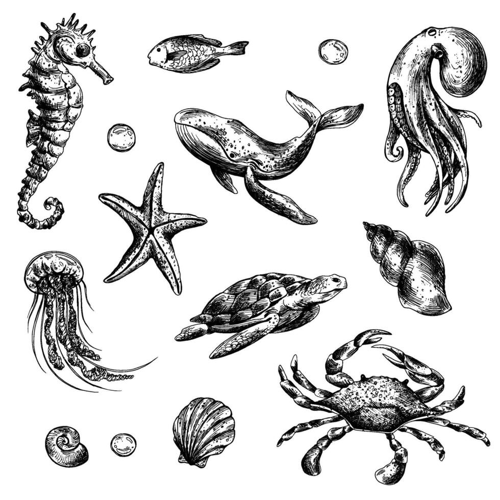 sous-marin monde clipart avec mer animaux baleine, tortue, pieuvre, hippocampe, étoile de mer, coquilles, corail et algues. graphique illustration main tiré dans noir encrer. ensemble de isolé objets eps vecteur. vecteur