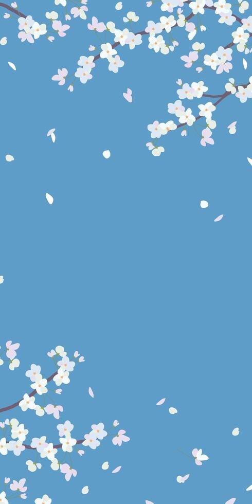 verticale bannière avec Cerise fleur branches. vecteur Sakura dans une plat style. printemps conception pour salutation cartes. délicat fleurs isolé sur une bleu Contexte.