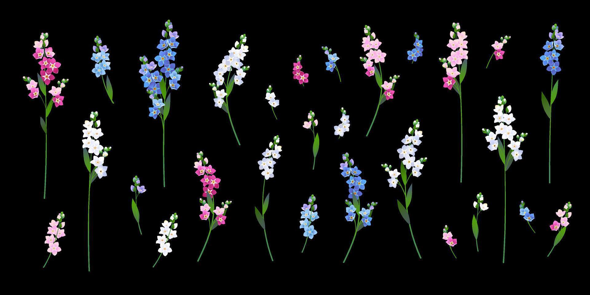 bleu, blanc et rose myosotis sur une noir Contexte vecteur