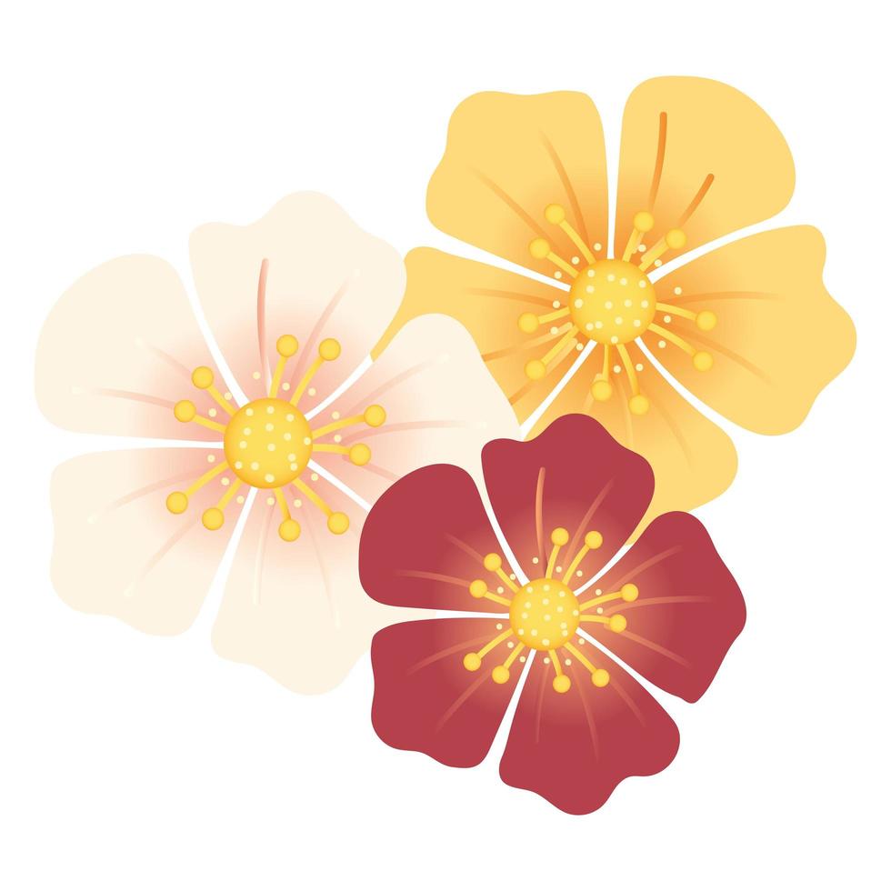fleurs de sakura vecteur