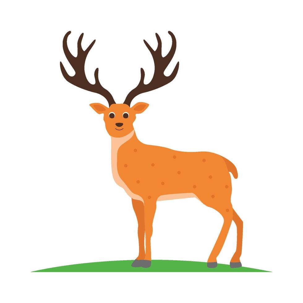 illustration de cerf vecteur