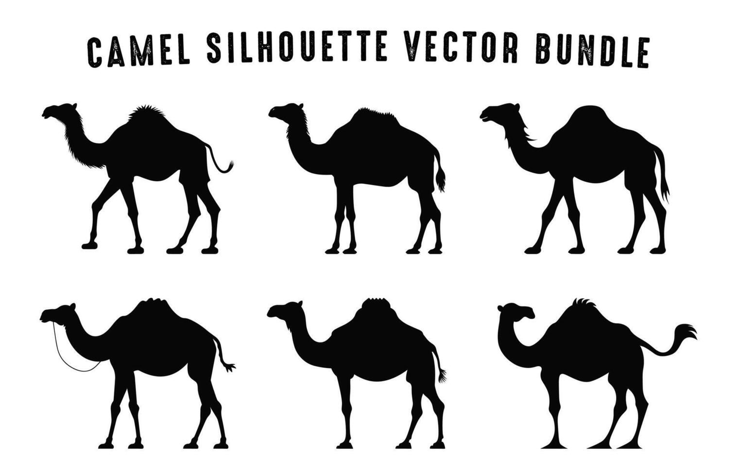 chameau silhouette vecteur empaqueter, chameaux silhouettes noir clipart ensemble