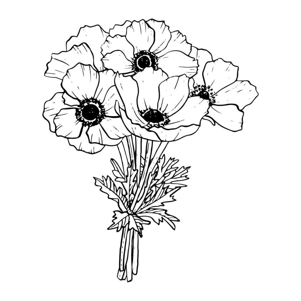 élégant de la mariée bouquet de anémone fleurs vecteur illustration. champ coquelicots pour printemps mariage conception, coloration livres et les mères journée cartes