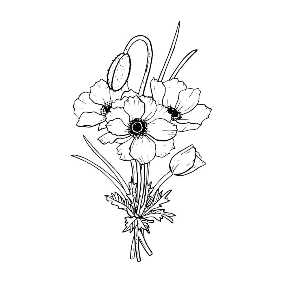 bouquet de champ coquelicots noir et blanc graphique vecteur illustration pour printemps mariage conception et floral les mères journée cartes