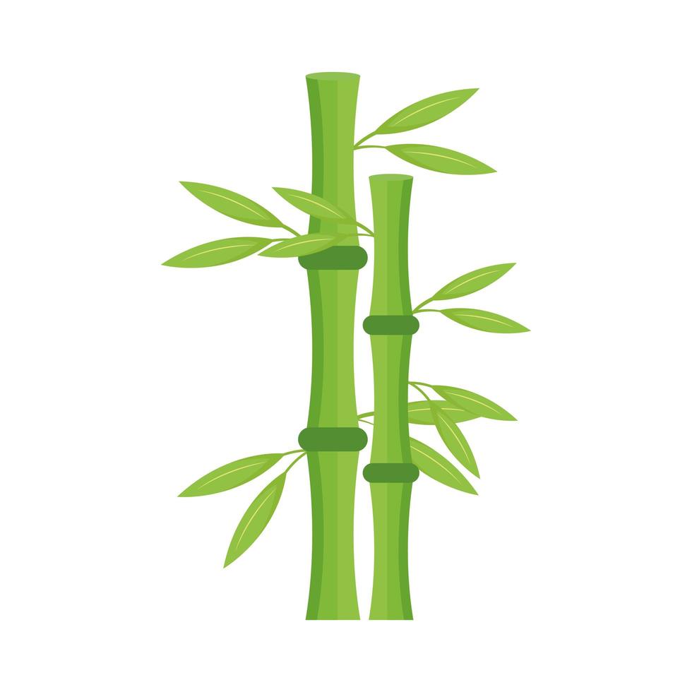 bambou plante nature vecteur